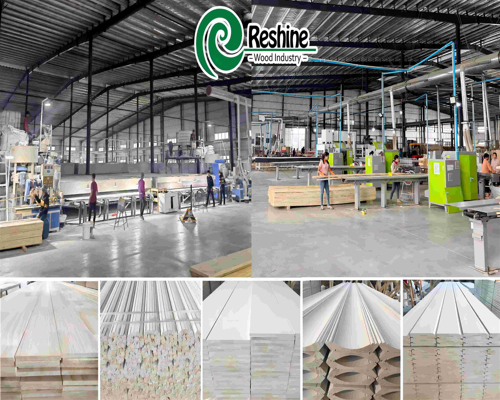 Reshine Introduction photo111